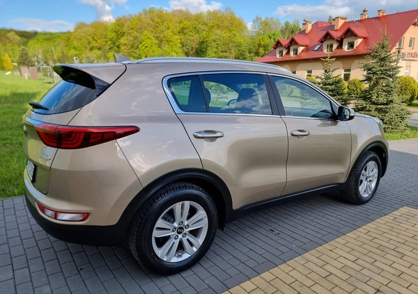 Kia Sportage cena 68900 przebieg: 104000, rok produkcji 2016 z Strzelce Opolskie małe 466